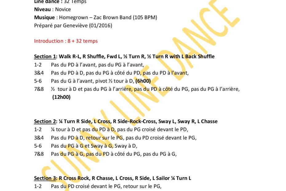 Fiche des pas de la danse Homegrown - part 1