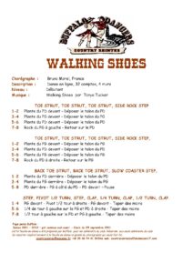 Walking Shoes